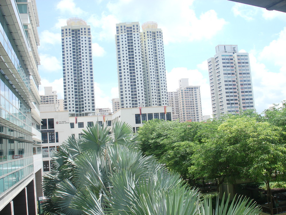 新加坡酒店_新加坡旅游景点_新加坡公民月收入