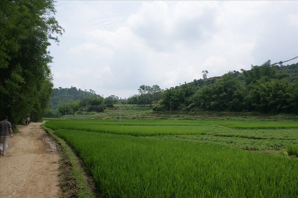 玉林山背人口_玉林佛子山风景图片(3)