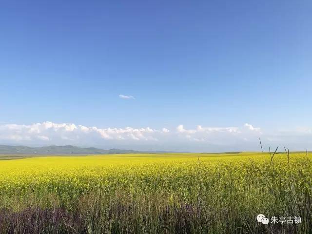 巩留县镇人口_巩留县阿克图别克镇(3)