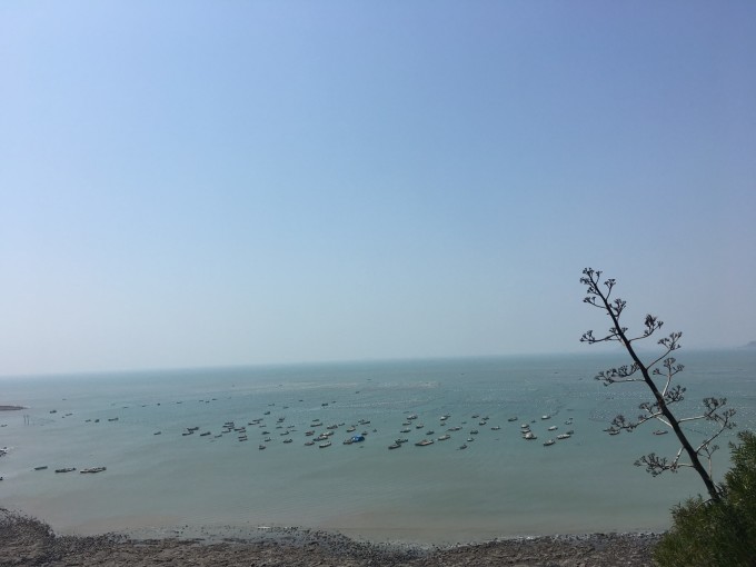 等外地的车,而且来的时候坐班车看到通往此地的公路正在修,估计会慢慢发展起来。 除了一日游的,还有为了看日出日落在这边露营扎帐篷的,海边也有集装箱可以住,村子里现在也有一些村民在做民宿。想要露营的话,除了自带帐篷外,村子里也有人在经营露营设备出租,我是没有尝试,但是我后来发了照片到微博上,竟然有一些镇海角的民宿、露营设备出租之类的人给我点赞评论,估计他们也是想要做一些自我营销吧。
