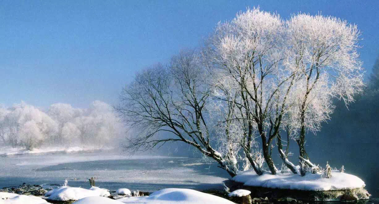 伊春,雪藏在小兴安岭里的童话冬天