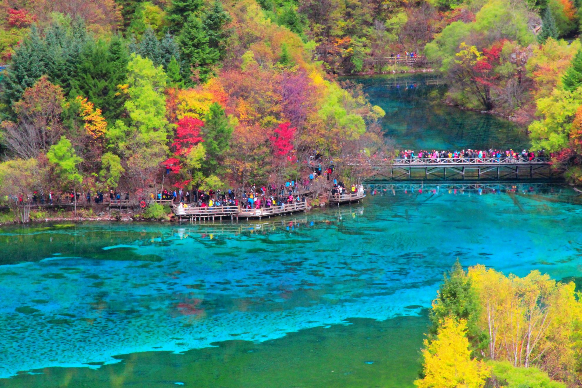 中国西部的美丽九寨沟,相约在秋季