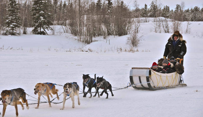 黄刀镇冬季狗拉雪橇体验 狗狗互动 拍照(传统雪橇犬/亲自驾驶/同伴