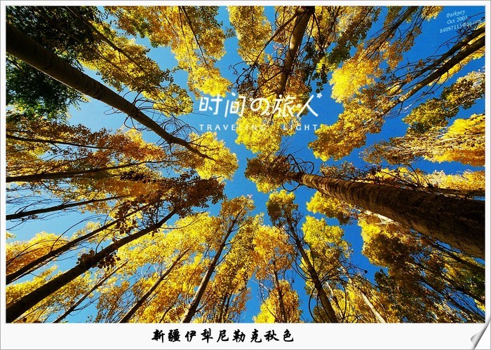 7月底打算暑假带孩子去新疆,适合去南疆还是北