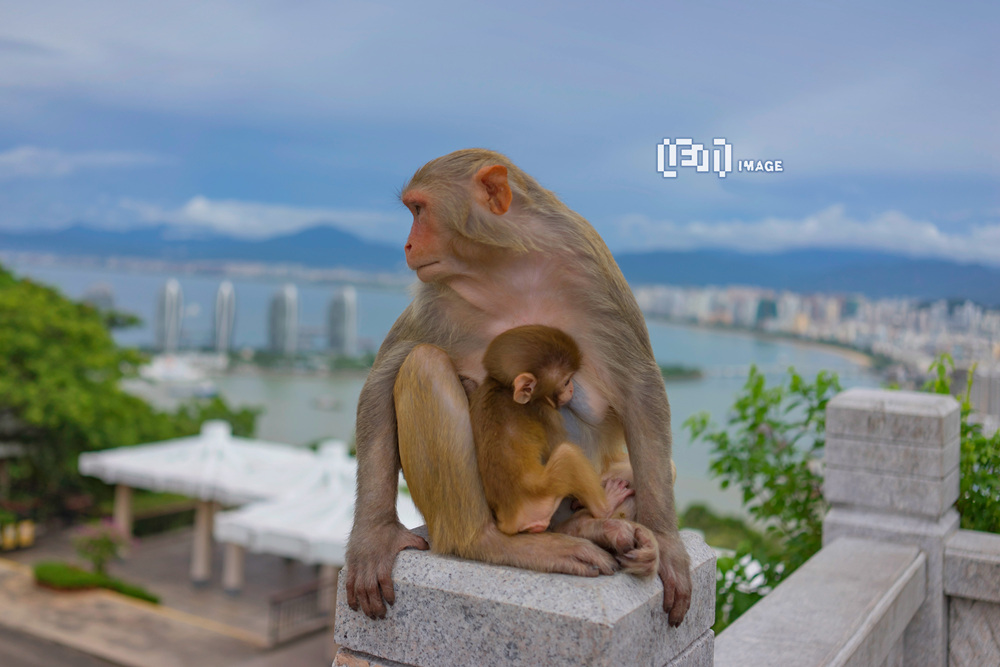 点击查看鹿回头风景区风光