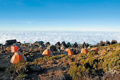 非洲屋脊乞力马扎罗山8天登顶之旅(威士忌线)