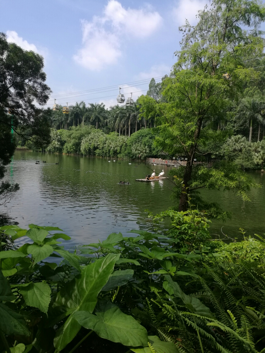 珠海多大面积多少人口_北京到珠海多少公里(3)