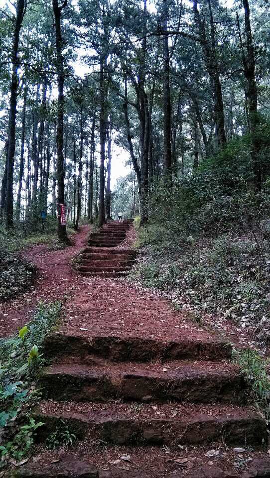 蜿蜒崎岖的林间小道是爬山爱好者的选择