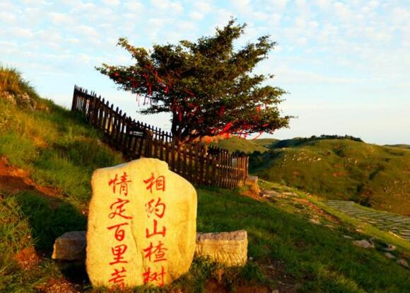 其中,著名景点有:"山楂树之恋","地老天荒石头","美女发呆","欧阳修碑