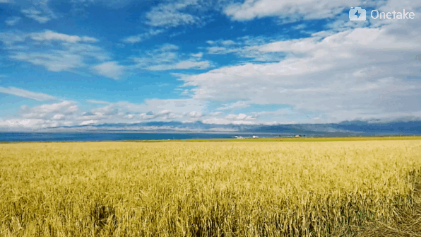 多年了,我的内心也是按耐不住的神往,不知走了多久,远方有一片地方
