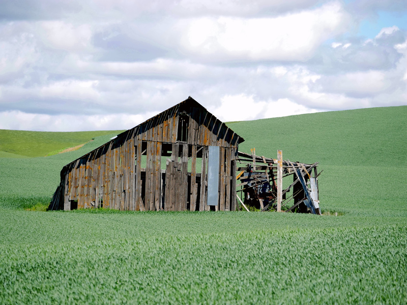 美国的绿野仙踪| 华盛顿州的rolling hills of palouse