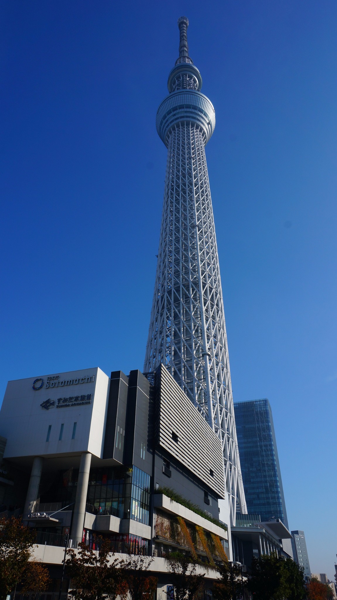 东京天空树         