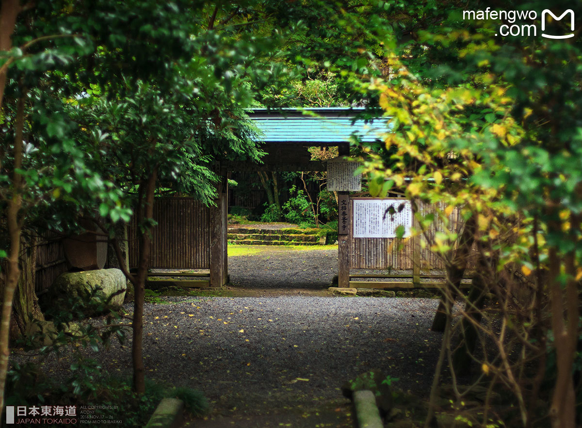抵达柴屋寺时,门口这条幽径使我觉得此寺确有点「山中有座庙」的禅意
