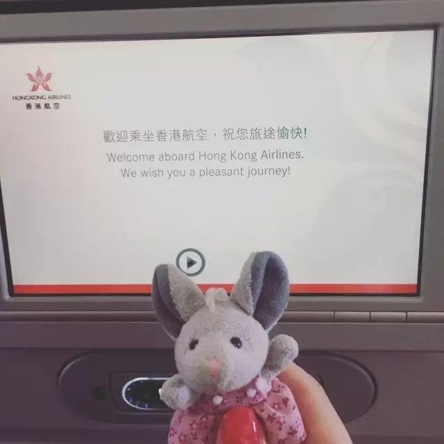 香港小众文艺风闲逛指南(徒步爬上太平山)