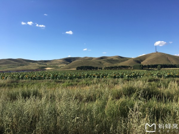 内蒙古呼和浩特周边自驾游(20170812-18)