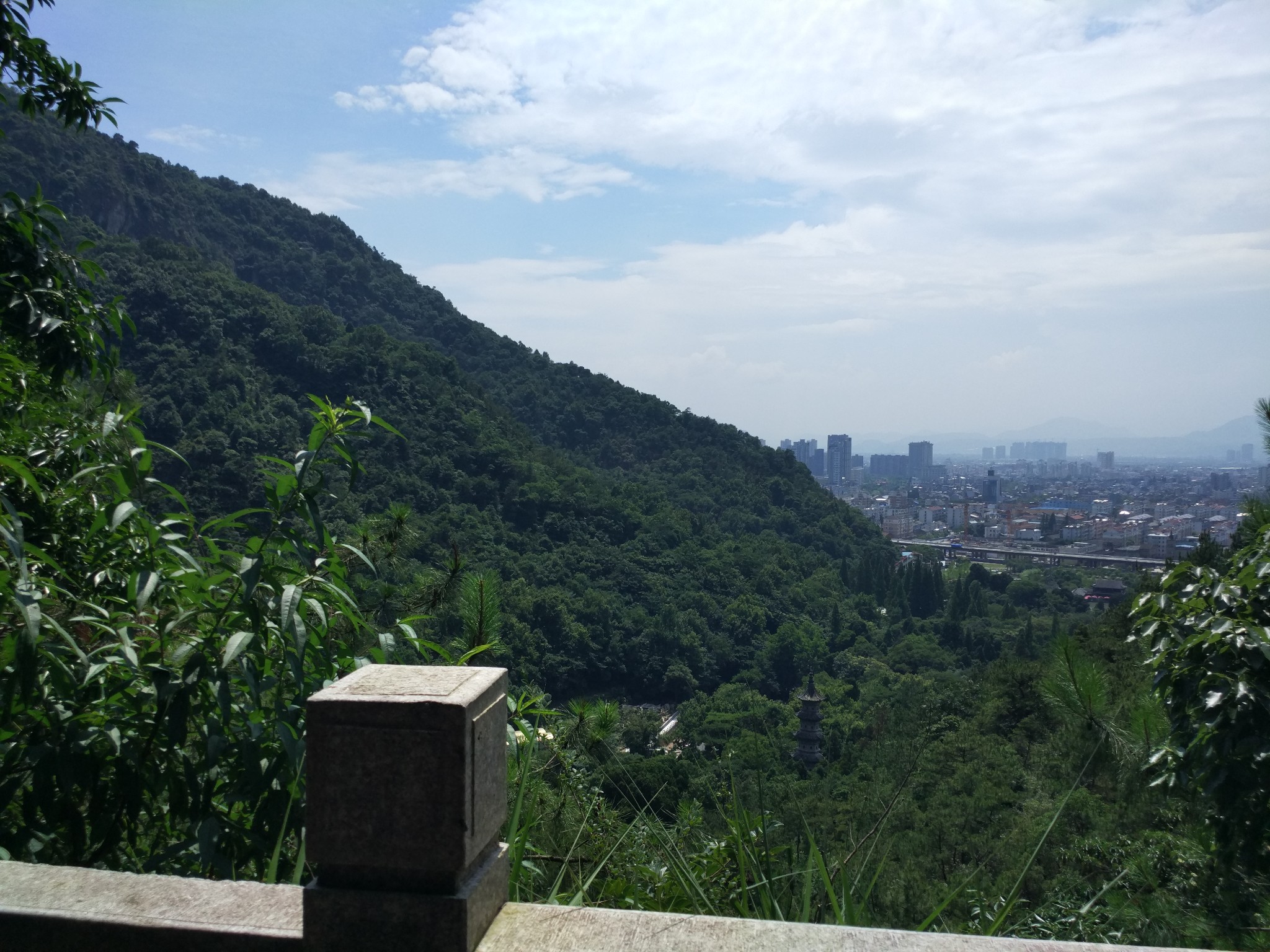 无心插柳——游台州黄岩九峰公园