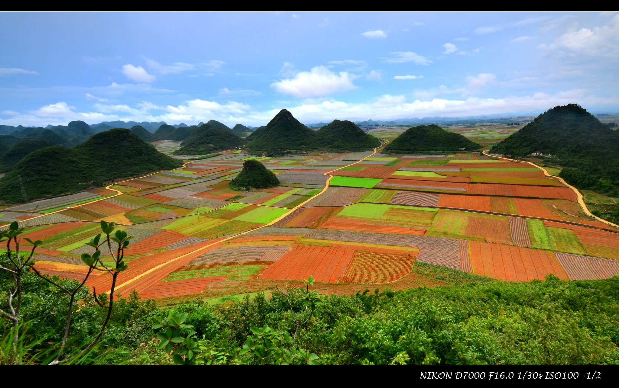 金鸡峰丛          