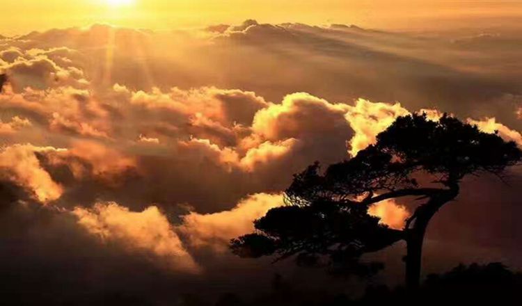 三清山景区到玉山高铁南站单程包车