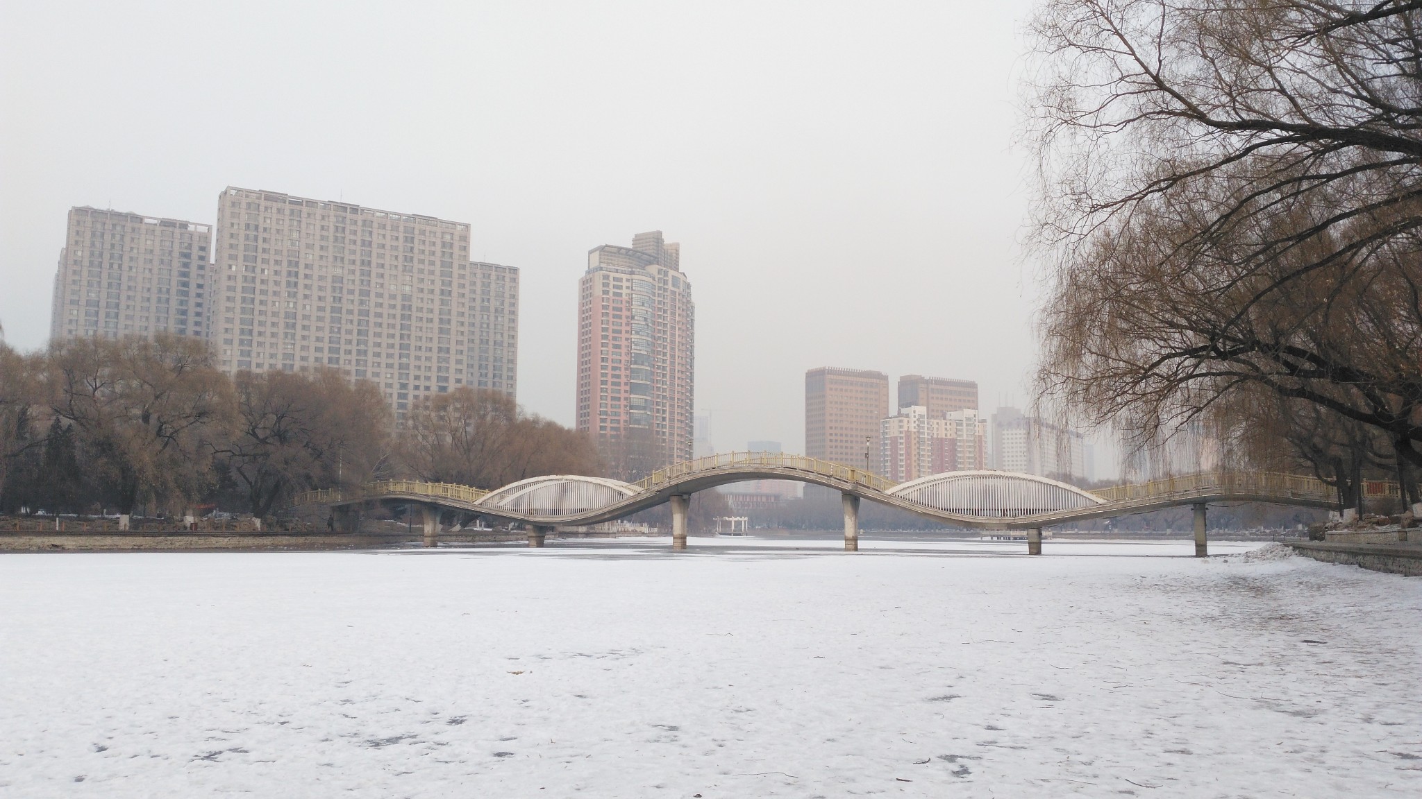 踏雪沈阳,闲逛东北大学,南湖公园