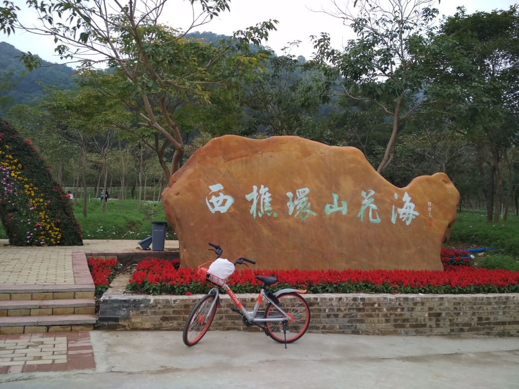 西樵山环山花海