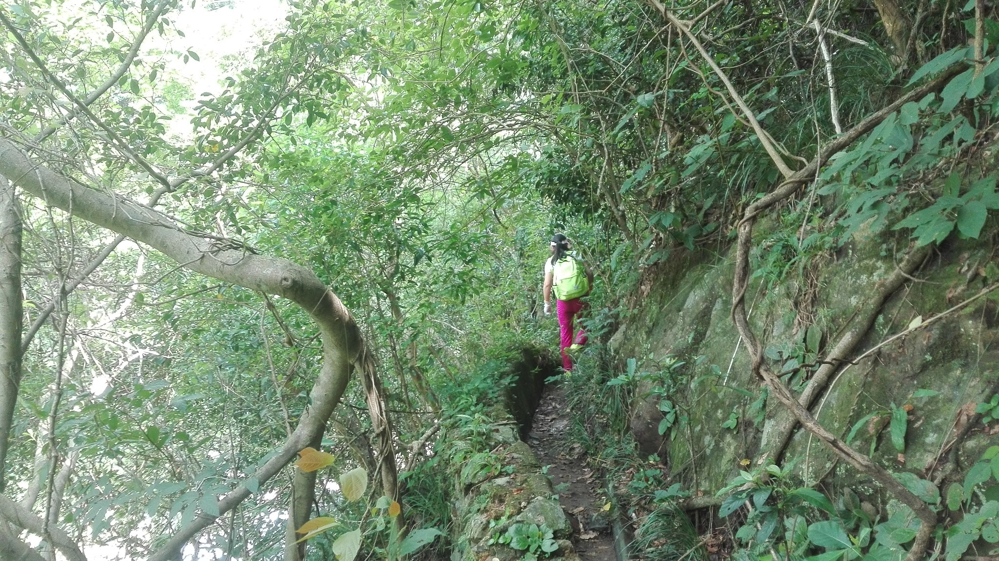 闲走深圳之青山篇10:梧桐山纪游之老虎涧