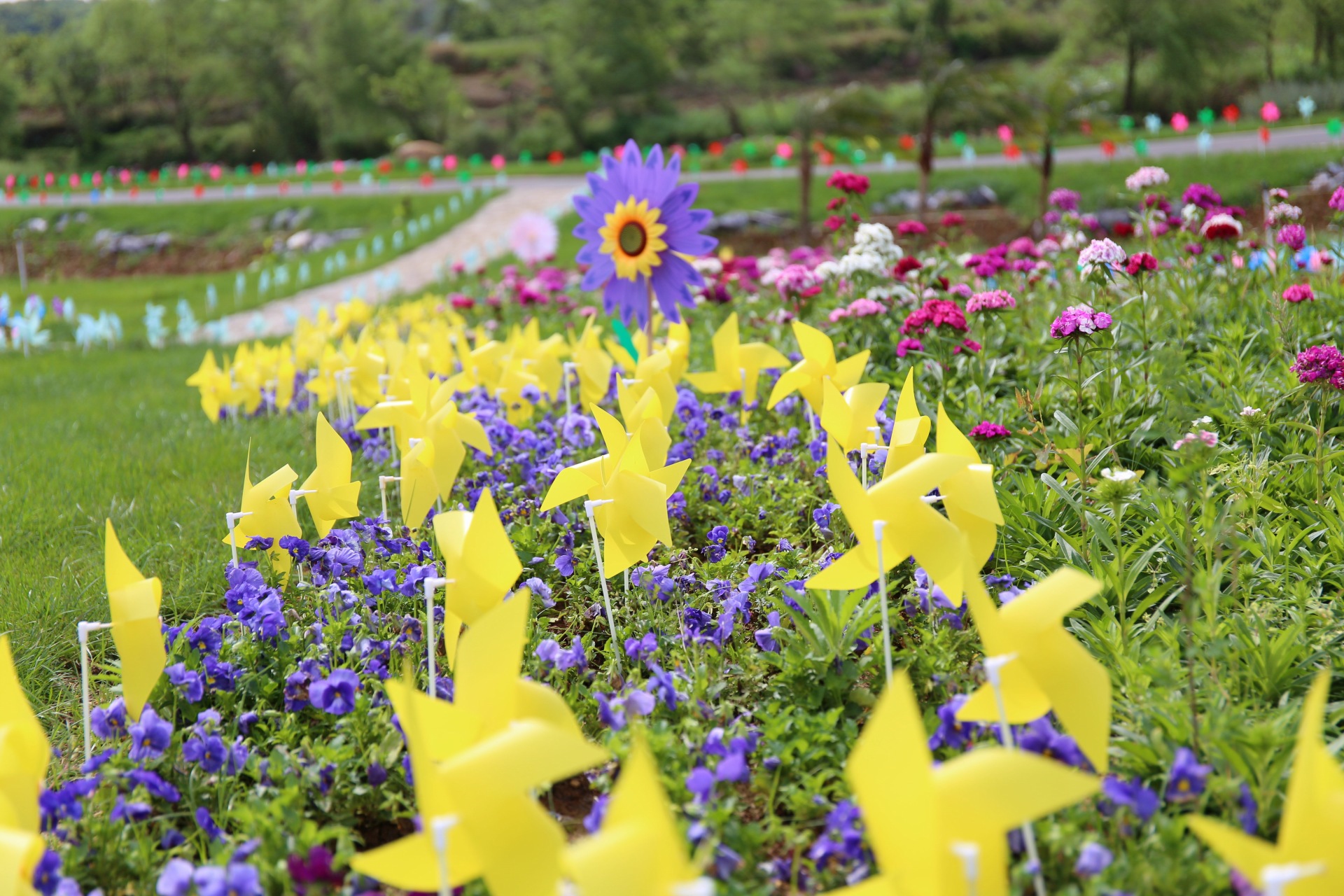 观富川神仙湖花海风车节