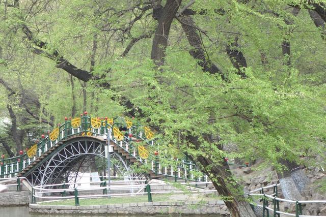 【原创】哈尔滨纪行——兆麟公园一瞥（组图）