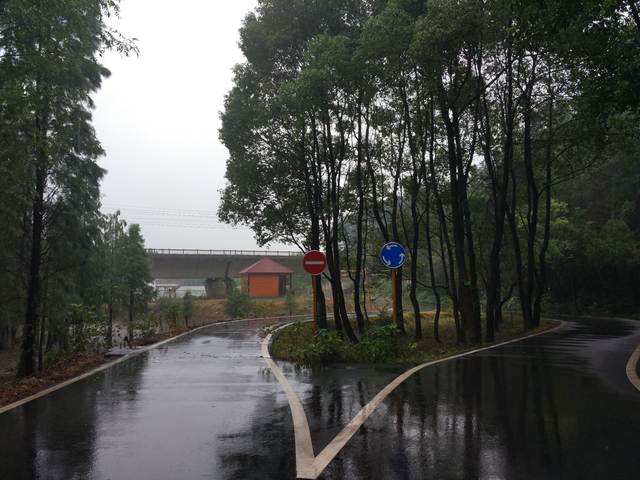 武汉江夏——青龙山花山徒步