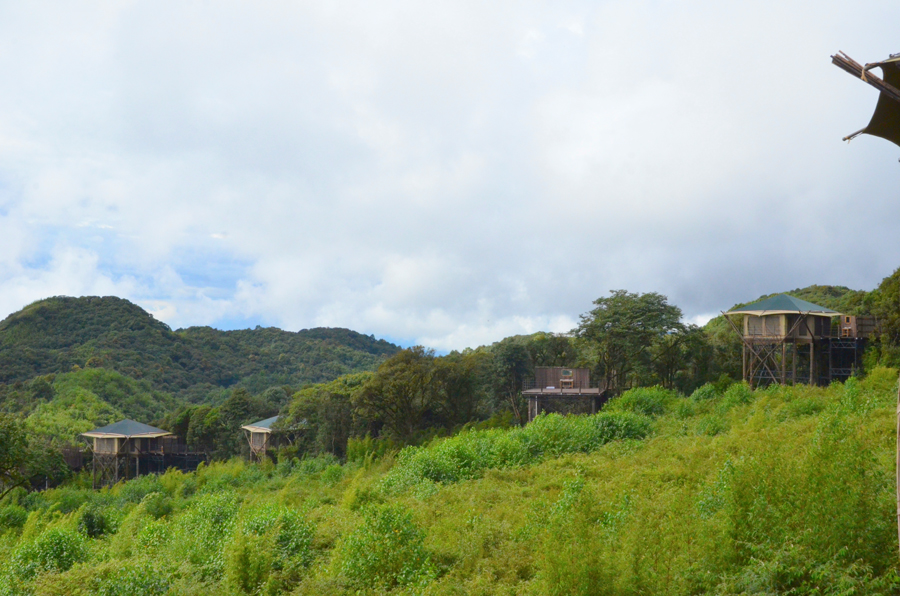 地址: 康藤·高黎贡帐篷营地平均海拔约为2300米,靠近高黎贡山