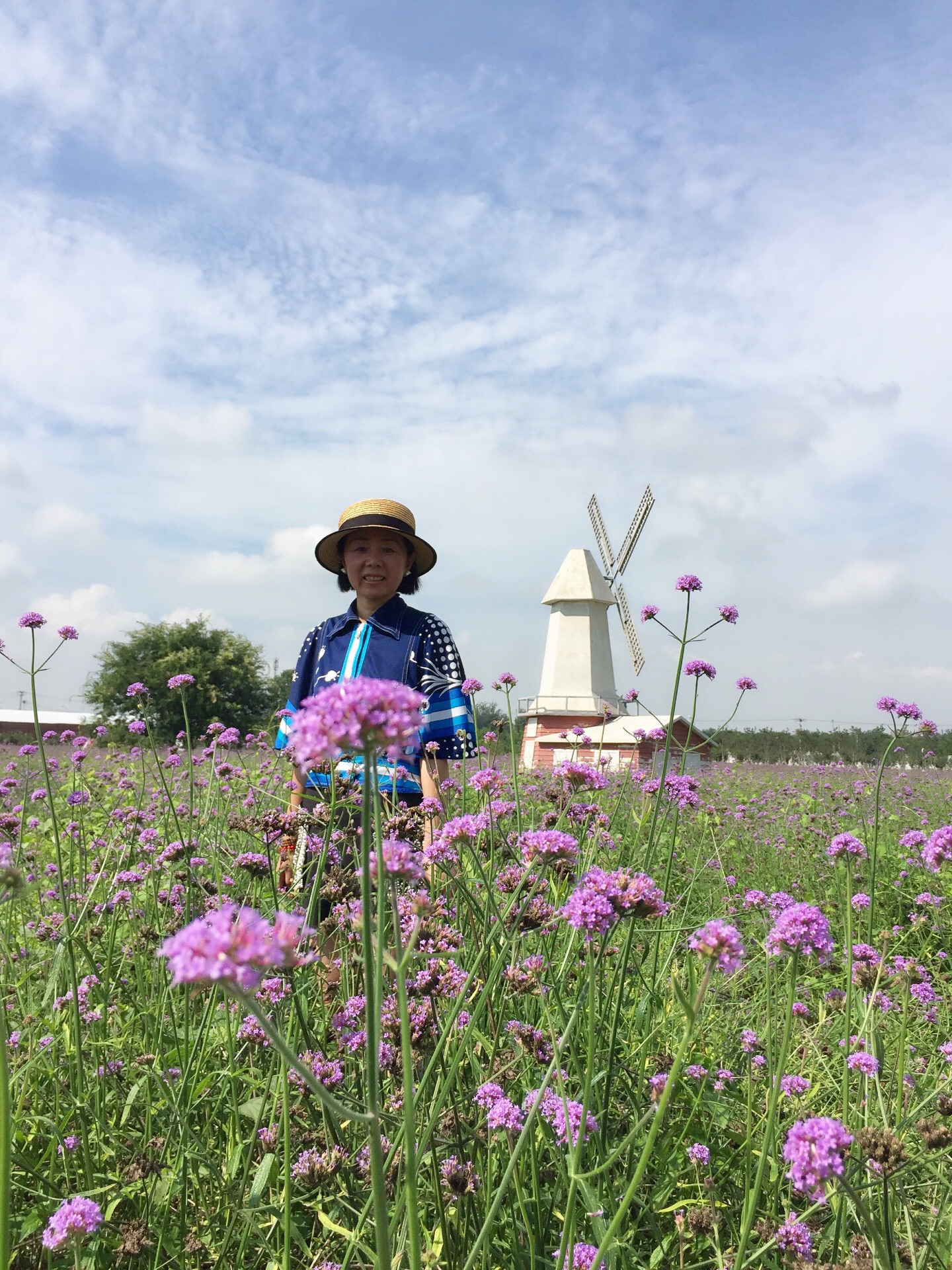 蓝调薰衣草庄园～7月赏花,北京自助游攻略 - 马蜂窝