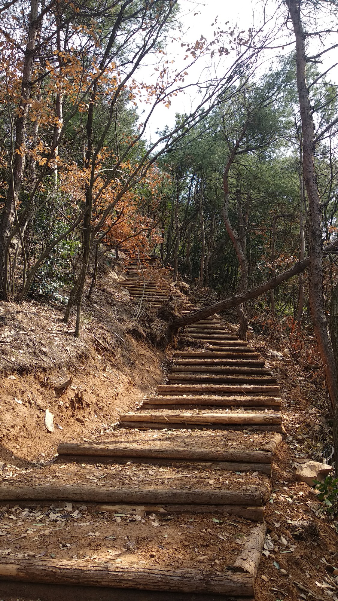 徒步苏州光福景区米堆山 2018.03.06