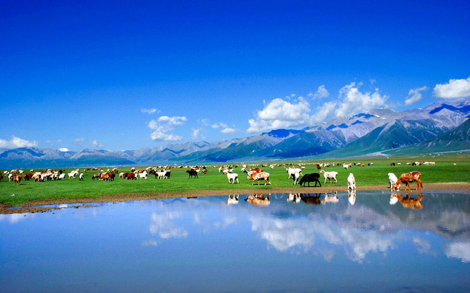 新疆最美伊犁 赛里木湖 薰衣草 喀拉峻 巴音布鲁克 那拉提 夏特徒步