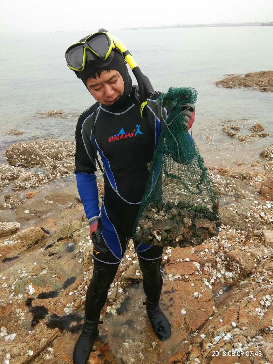 鲅鱼圈6月9日赶海记