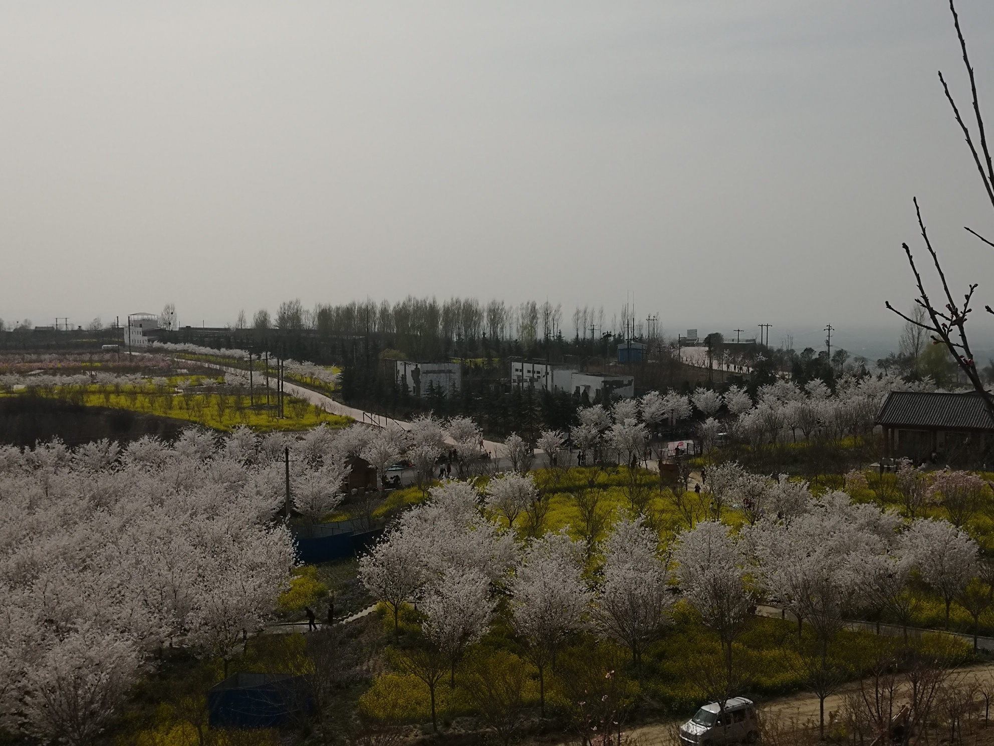 郑州=荥阳孤柏渡飞黄景区丰乐樱花园,荥阳旅游攻略