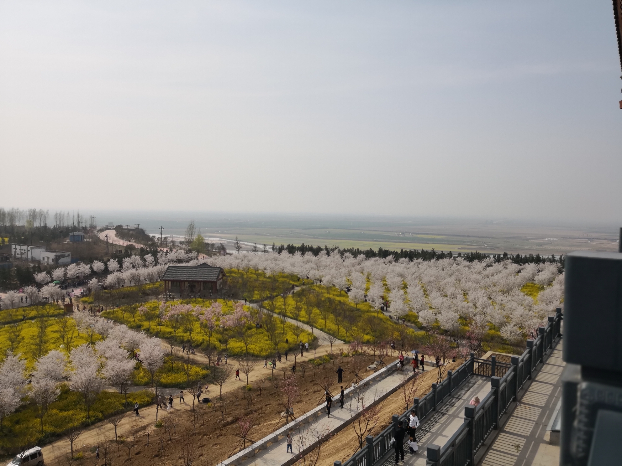 郑州=荥阳孤柏渡飞黄景区丰乐樱花园,荥阳旅游攻略