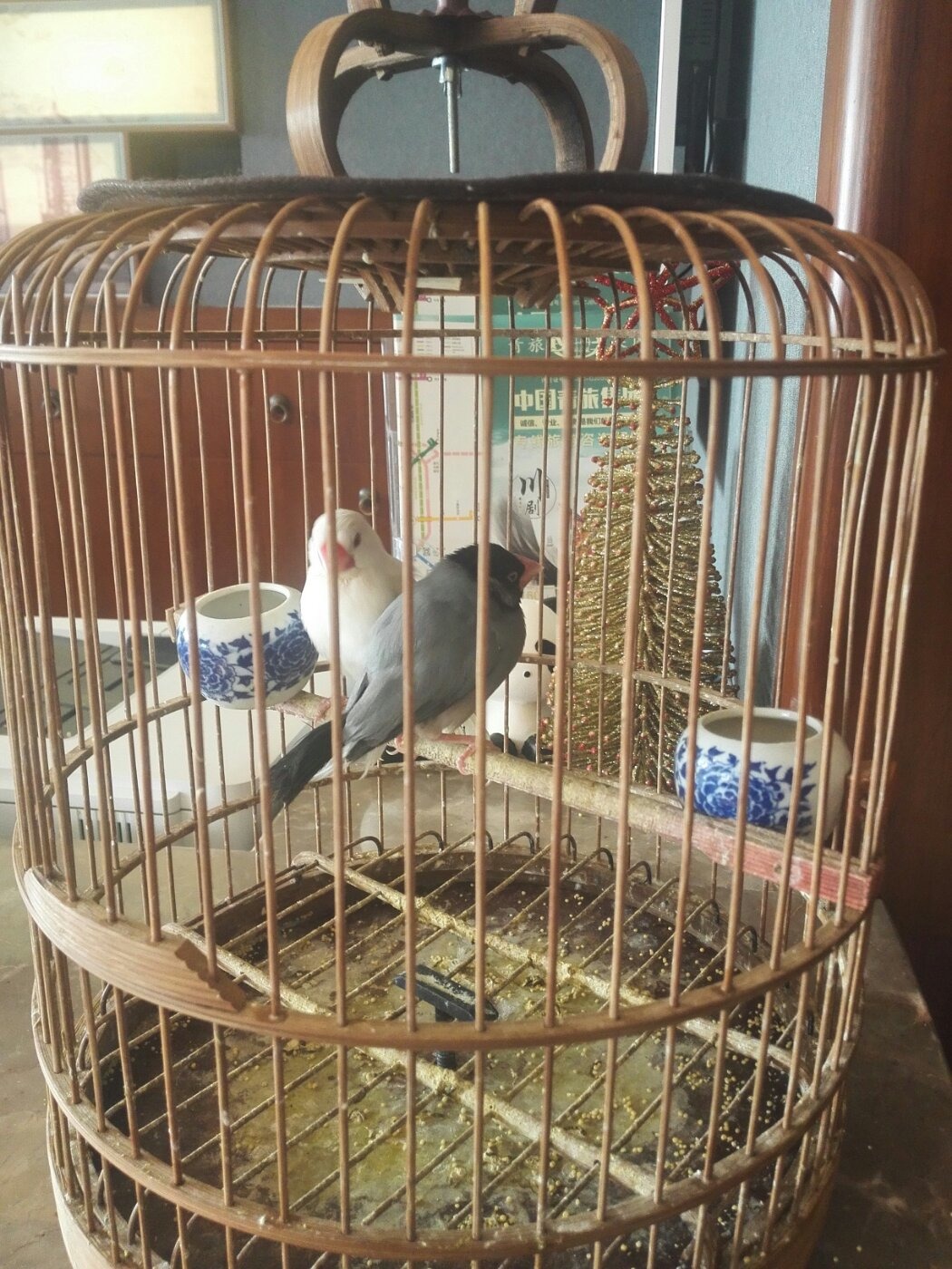 鹭鹭酒家人均消费