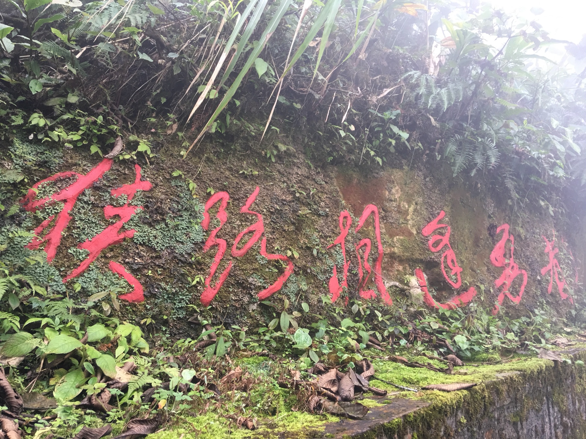 一种特殊的情怀——麻栗坡,老山游记