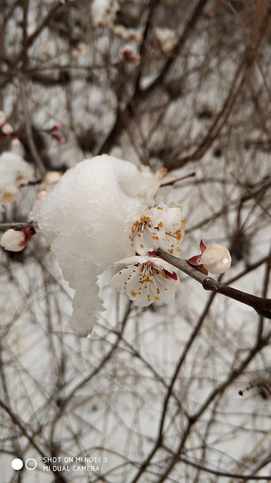 清明节风雪古长城