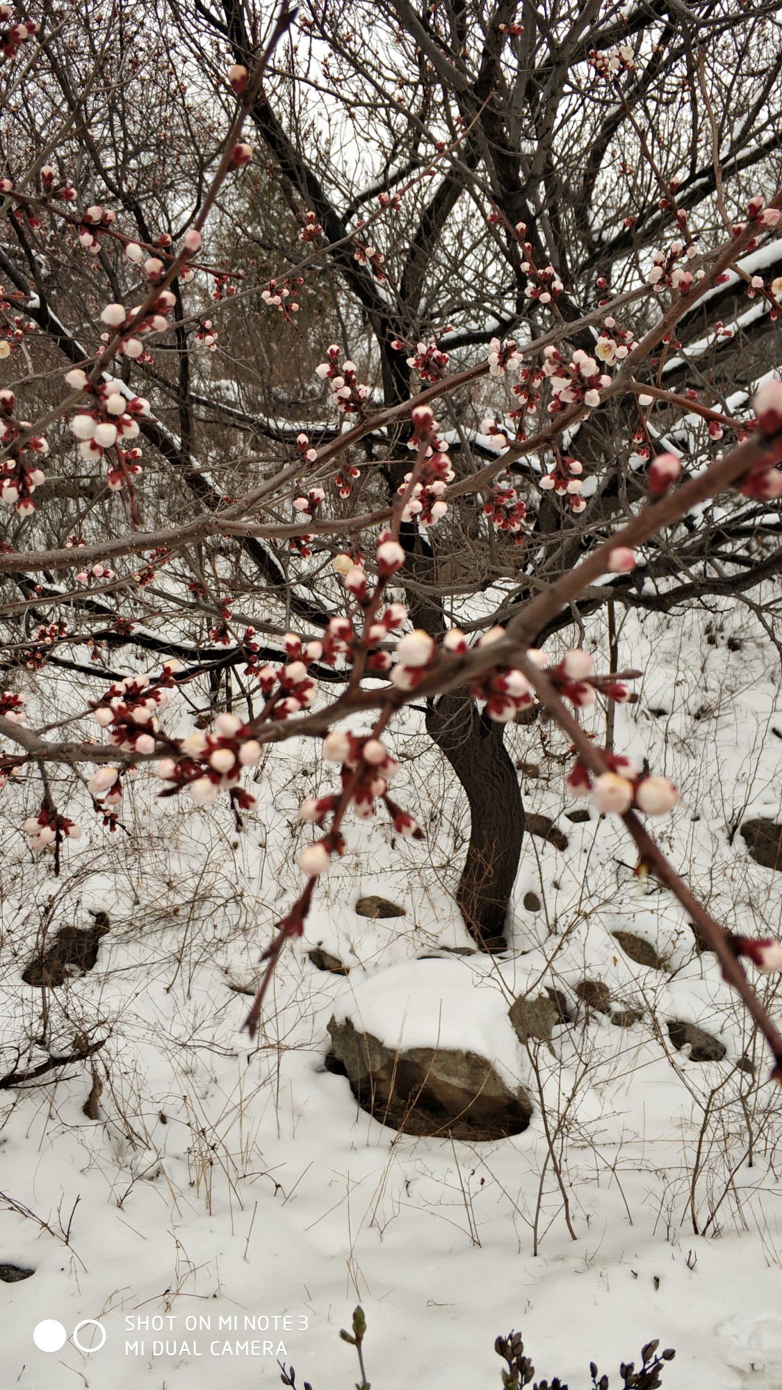 清明节风雪古长城