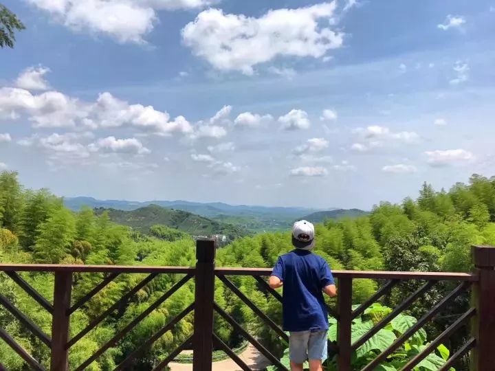莫干山游记