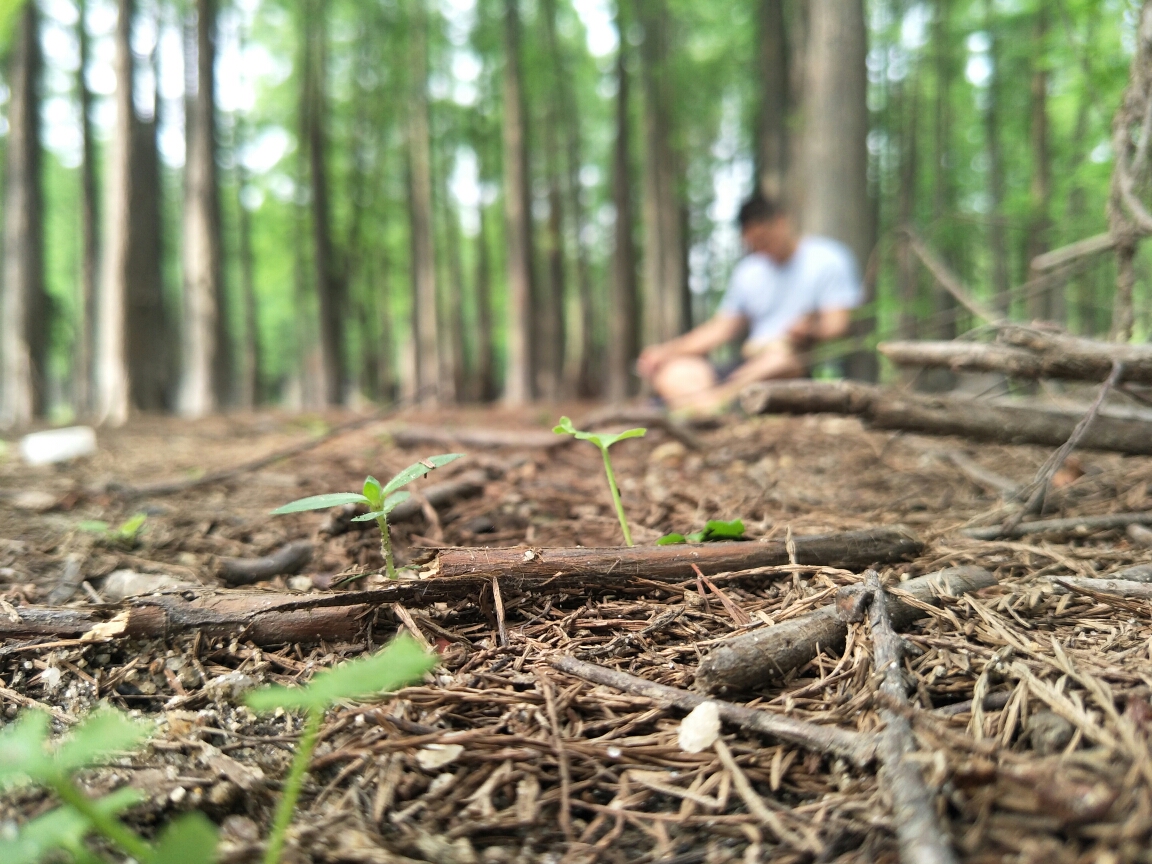 鱼虎云一猜一成语大全_一图一成语猜答案大全(3)