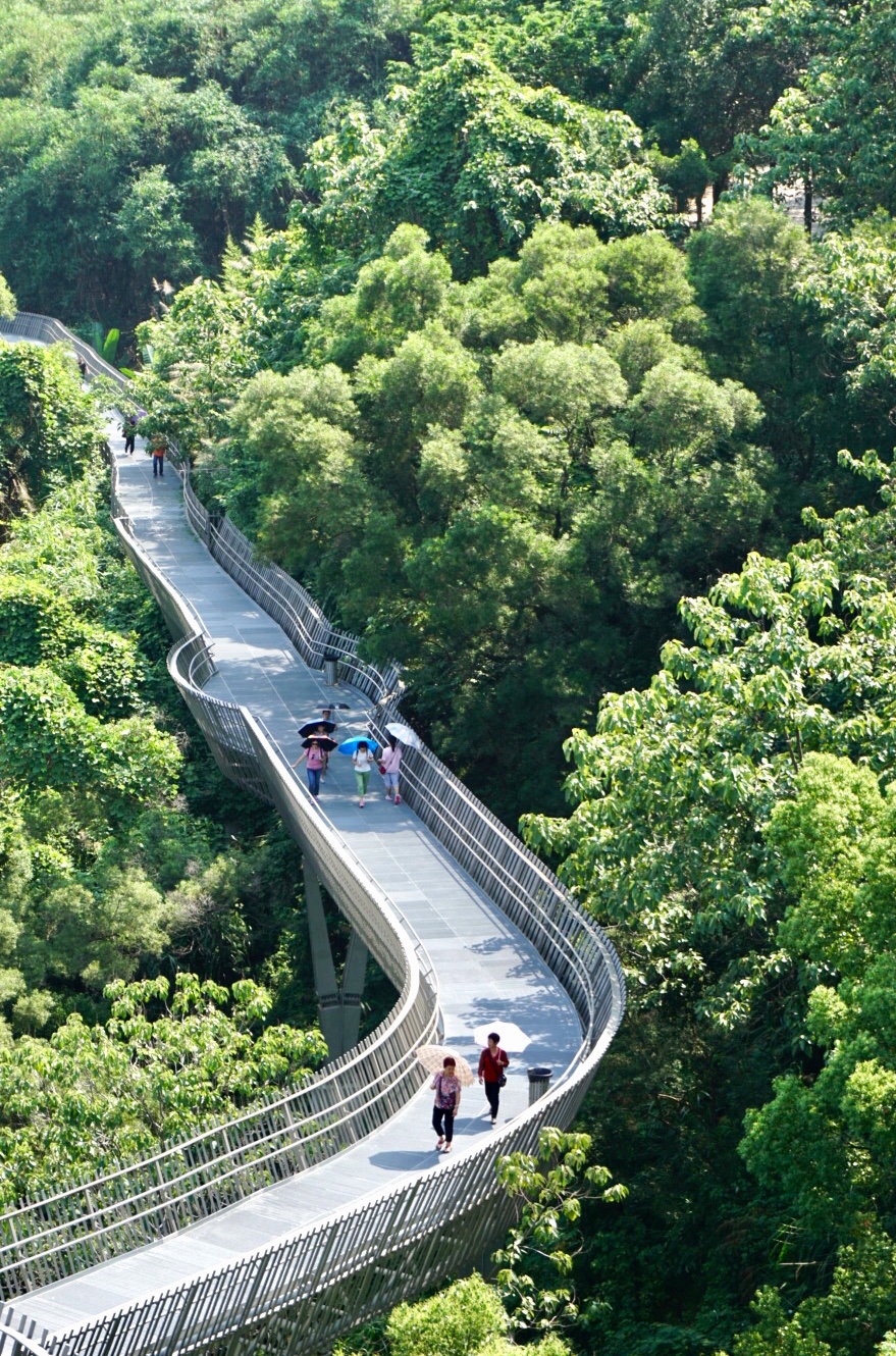 西南连闽江,横贯 象山 ,后县山,梅峰山,金牛山等山体脊,贯穿 福州