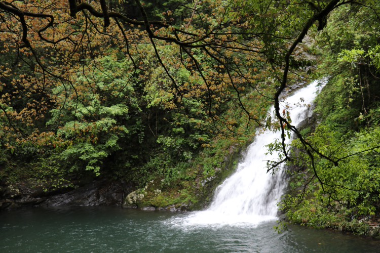 井冈山景点有哪些,井冈山有哪些必看景点,井冈山旅游攻略