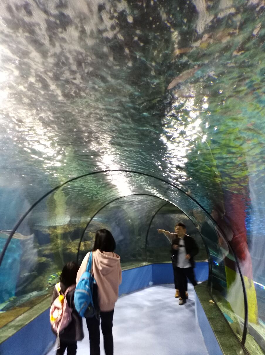 六安梦幻海洋世界亲子游
