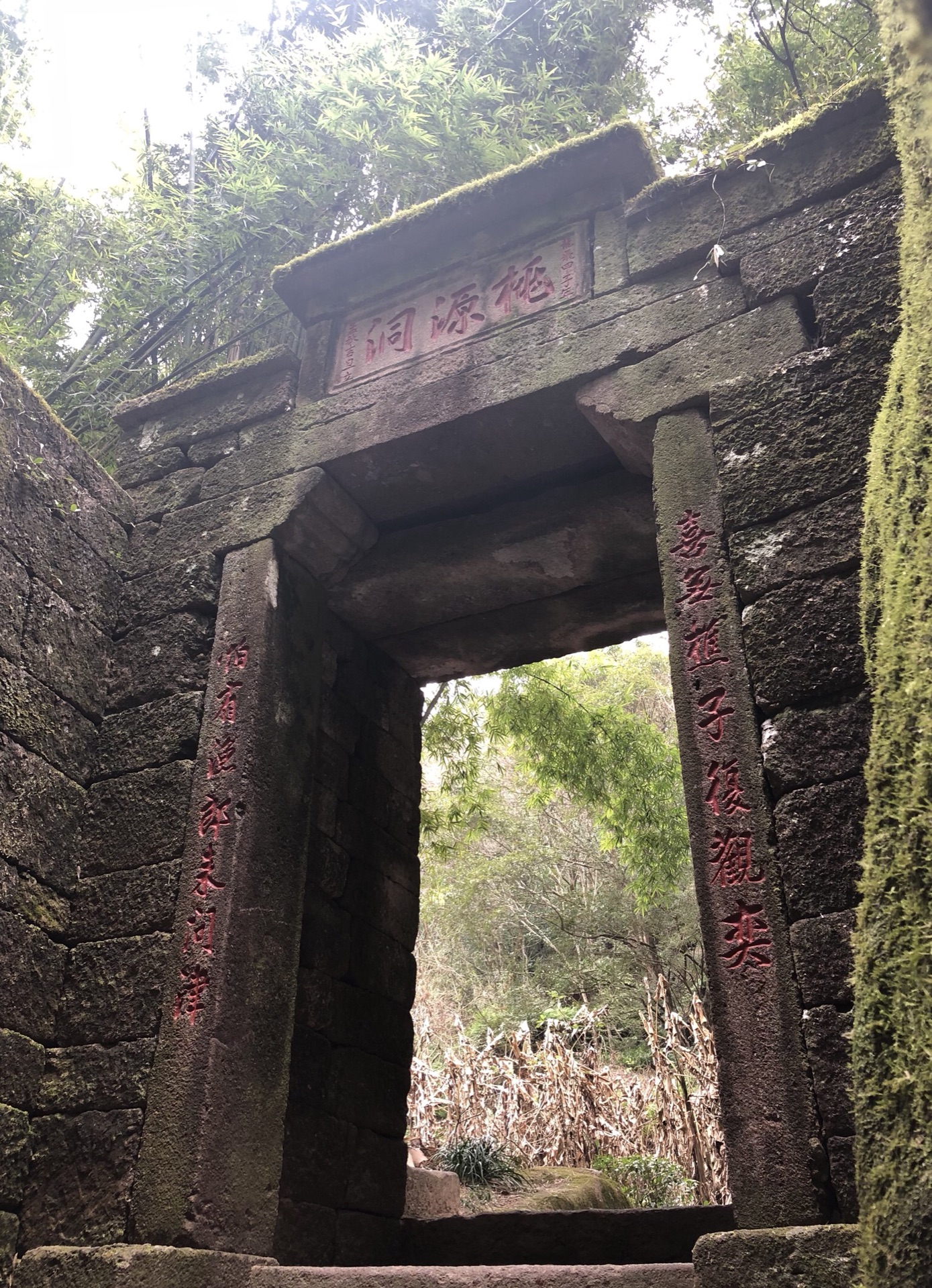 春节都在外面玩——福建武夷山