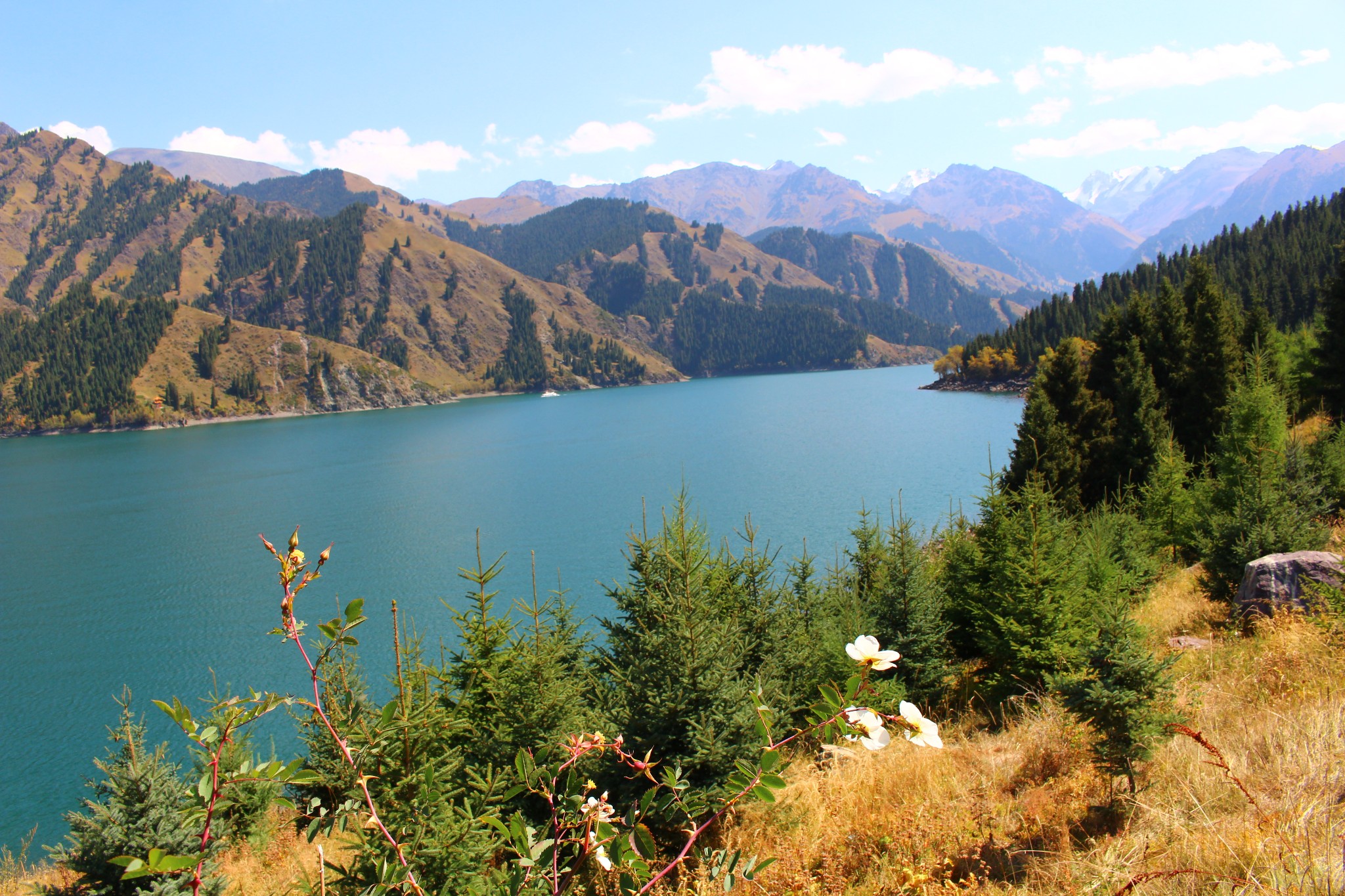 新疆北疆环线,除了美景还是美景,新疆旅游攻略 马蜂窝