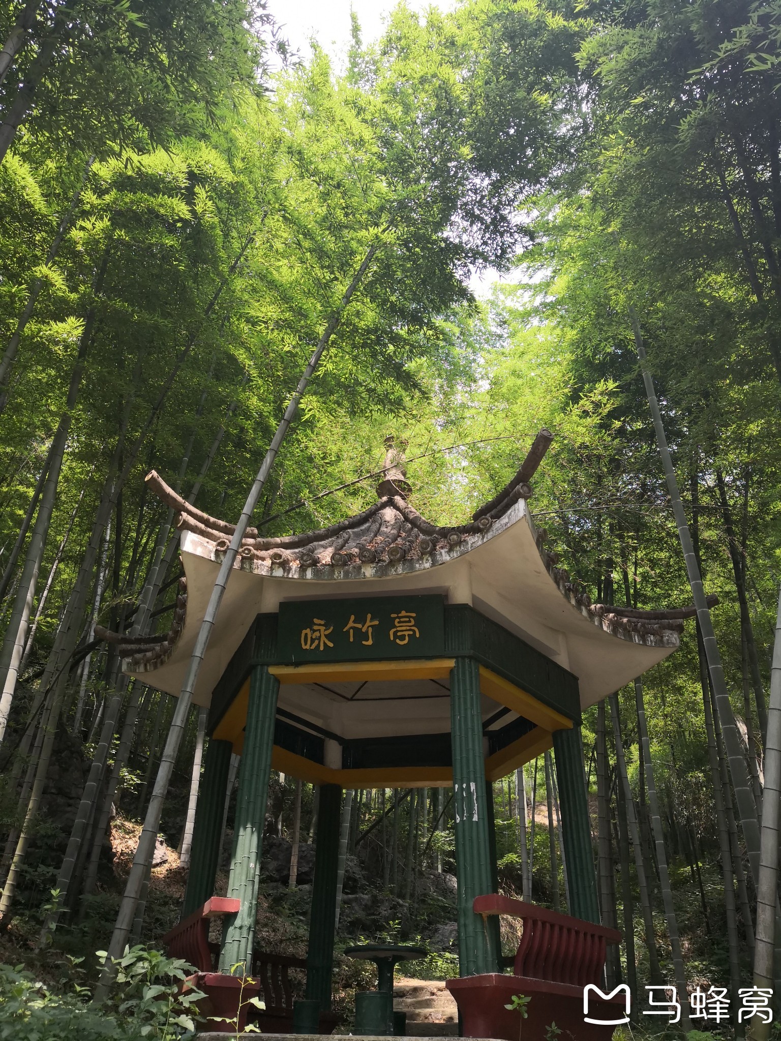 湖北咸宁的"星星竹海"旅游景区