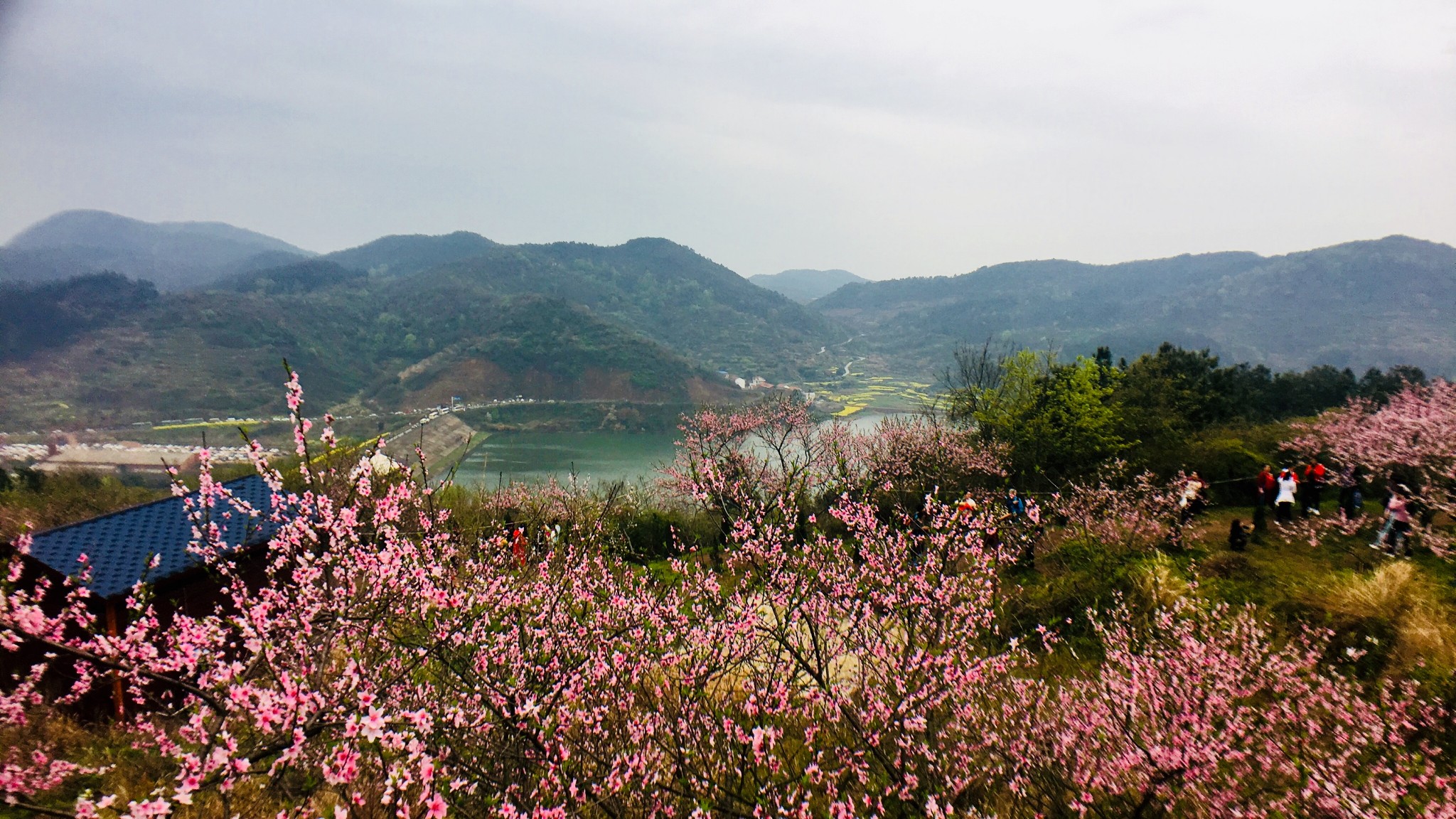 阳光三月再游大冶沼山村