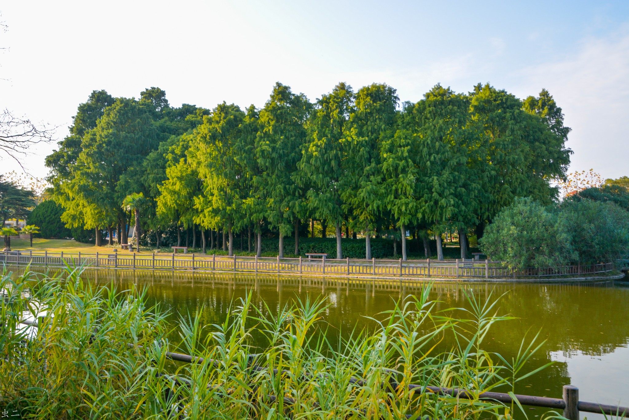 上海 金山清真寺 滨海公园