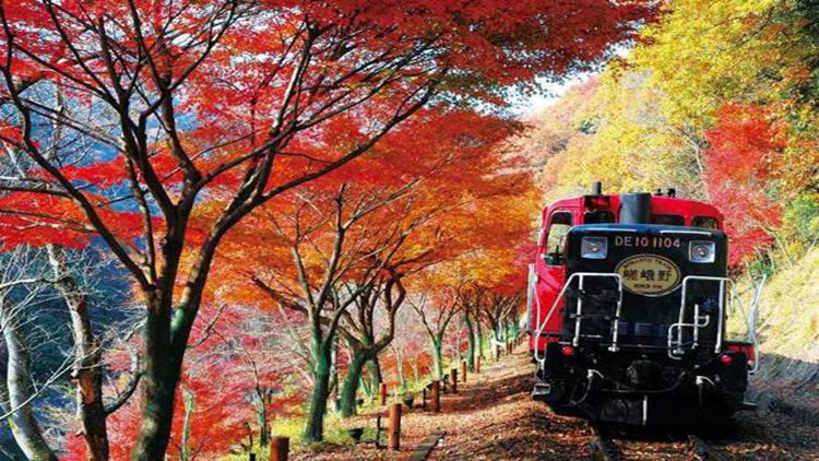 日本京都岚山嵯峨野小火车门票(关西机场)